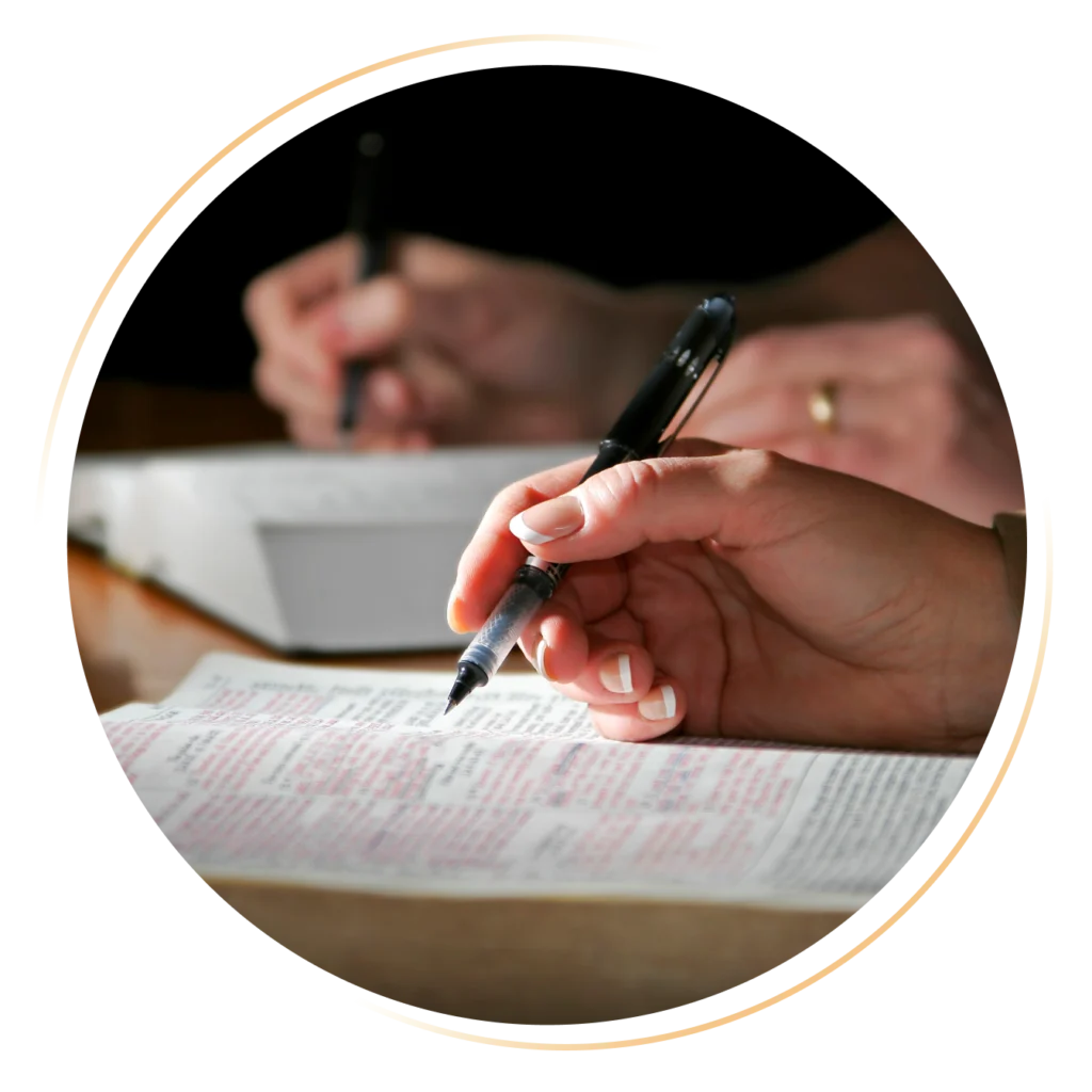 Bible Studies for Beginners