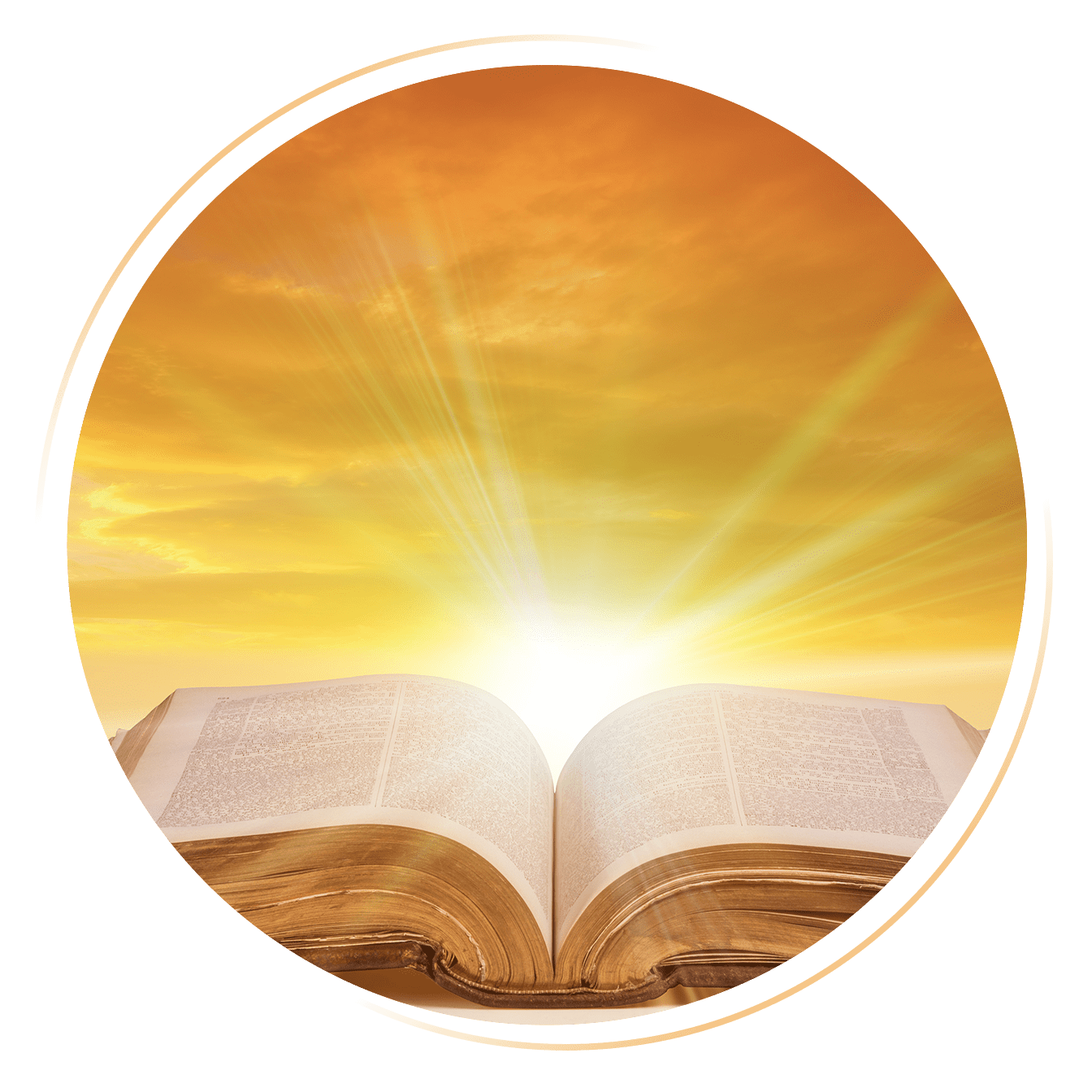 Bible Studies for Beginners